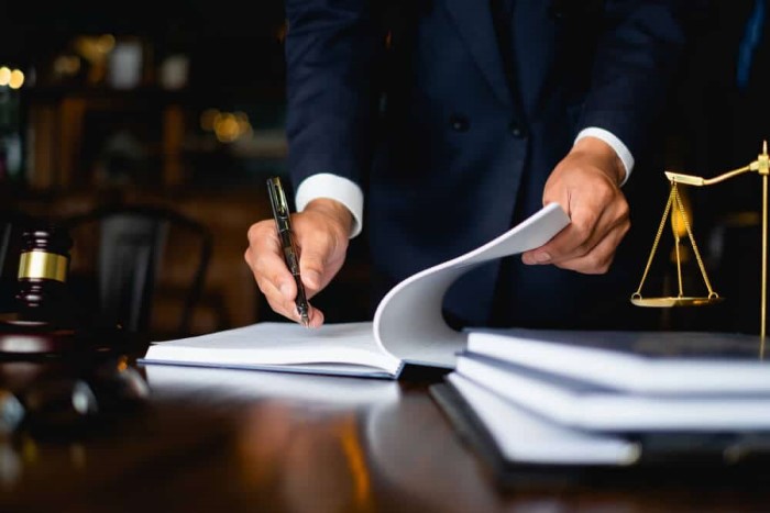 Professional Trial Support Services: Transforming Litigation With Expertise And Technology 6 Lawyer
