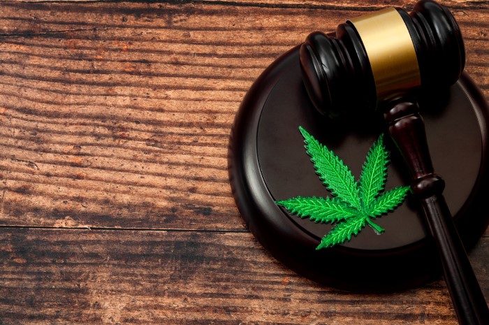 Drug Possession Cases