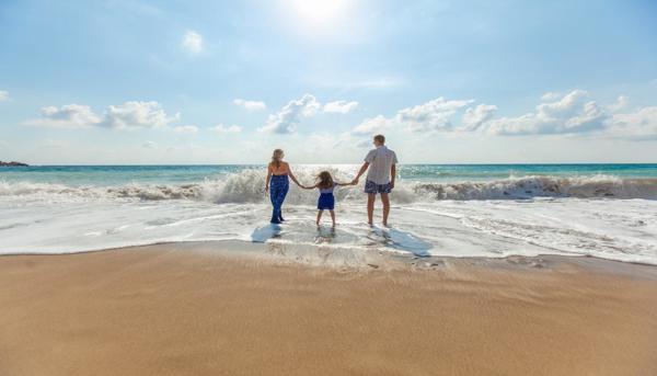 Experienced Family Lawyer